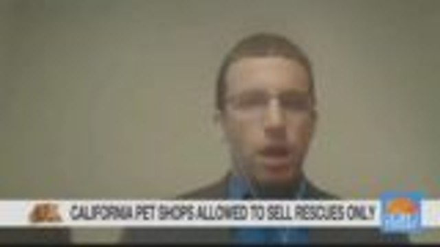 California Becomes First State to Require Pet Shops Only Sell Rescues