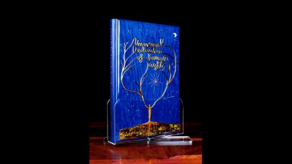 IBA MUSEUM PUNTATA N.45