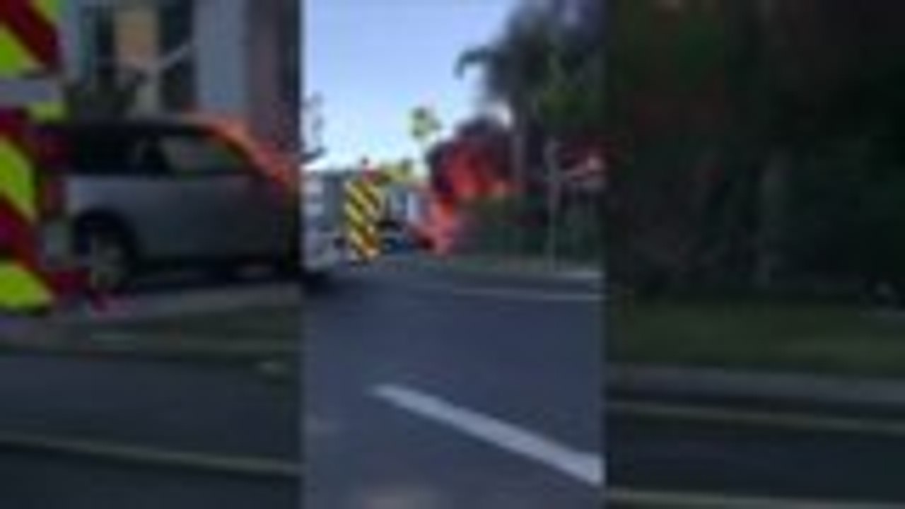 Cathedral City Fire Cat Revival