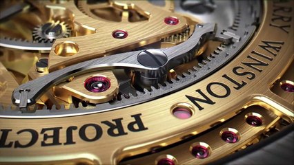 Swiss Watch - Harry Winston Opus XIII