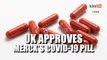 Britain approves Merck's Covid-19 pill in world first