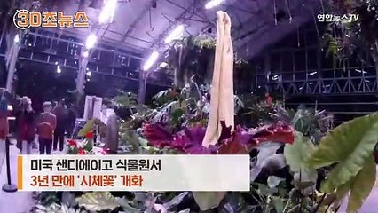 [30초뉴스] 꽃에서 이상한 냄새가…미국 식물원에 핀 시체꽃