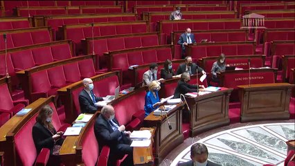 1ère séance : Projet de loi de finances pour 2022 (seconde partie) ; Travail et emploi - Jeudi 4 novembre 2021