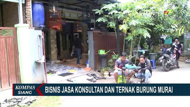 Pemuda Asal Pekalongan Buka Jasa Ternak Burung Murai Batu