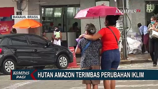 Hutan Amazon Terimbas Perubahan Iklim