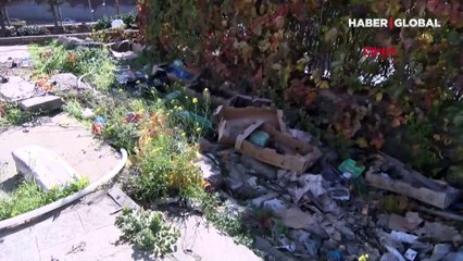 İstanbul'da D-100’ün yanında unutulmuş bir anıt mezar: Abraham Salomon Kamondo