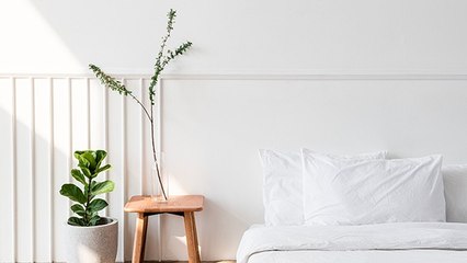 Bisa Membuat Tidur Lebih Nyenyak, Ini 6 Tanaman yang Baik untuk Kamar Tidur