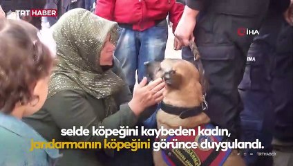 Selde köpeklerini kaybeden kadın 'Samba' ile hasret giderdi