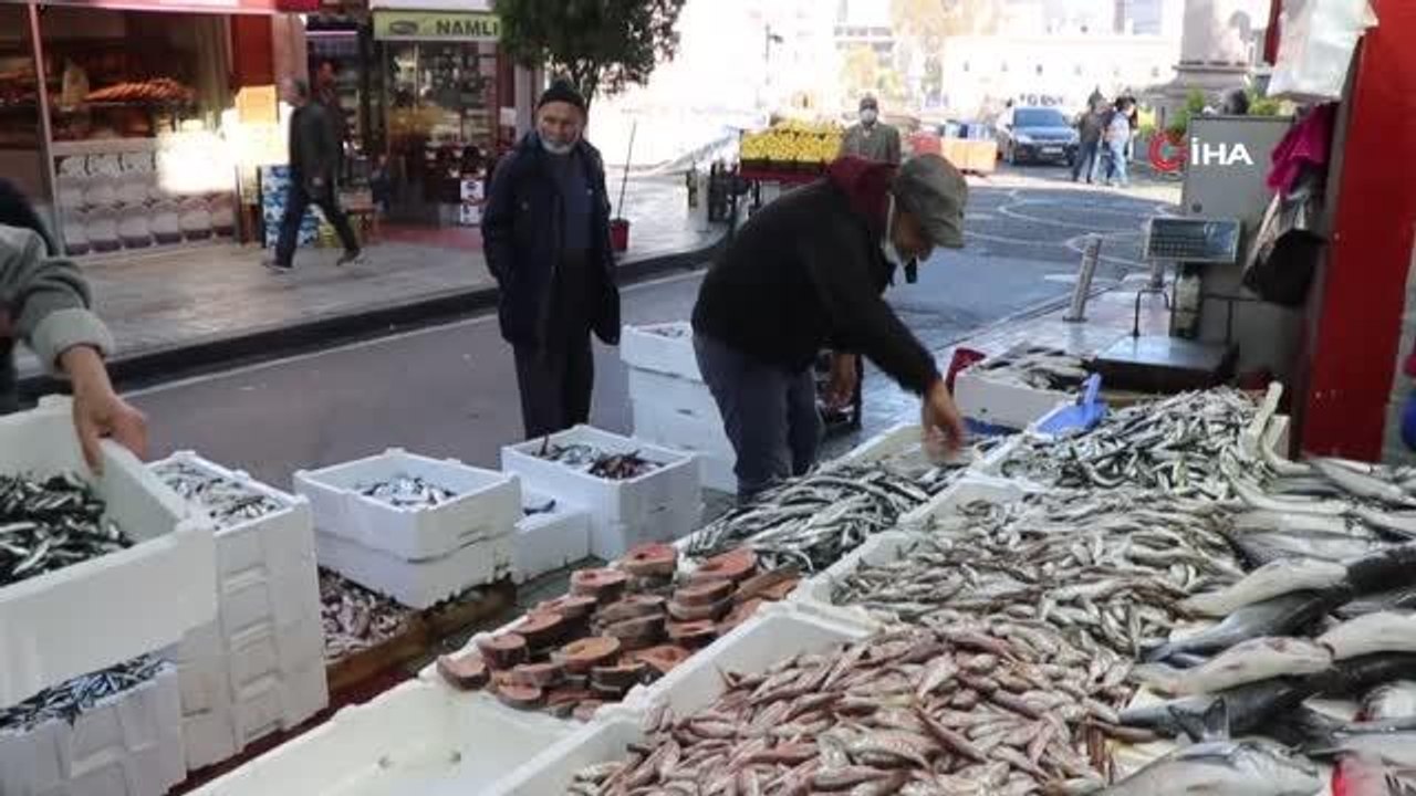 Karadeniz'deki hamsi bolluğu yüzleri güldürdü