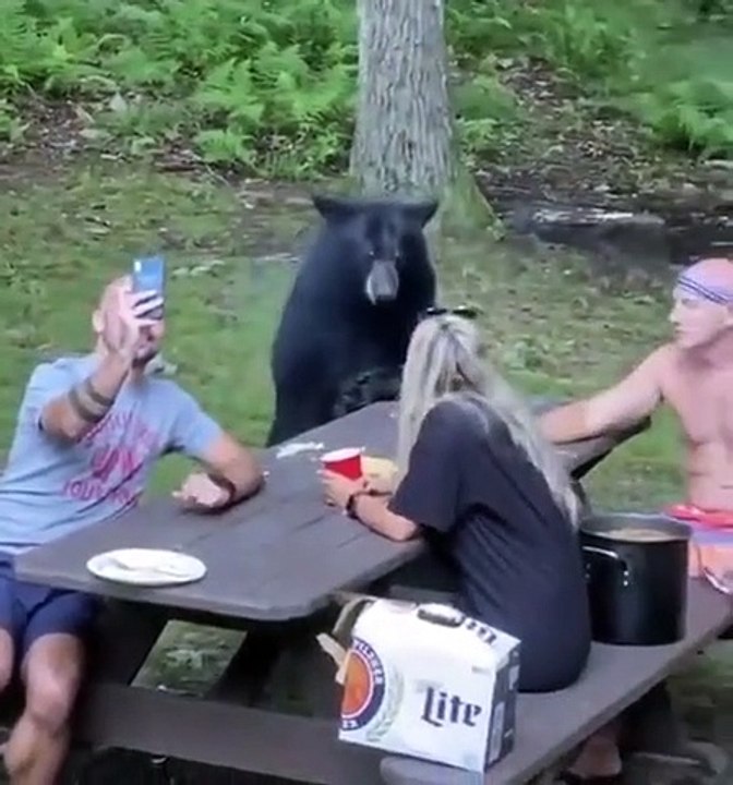Un ours fait un pique-nique très tranquillement avec une famille !