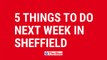 5 Things to do next week in Sheffield, Monday November 8th to Sunday 14th