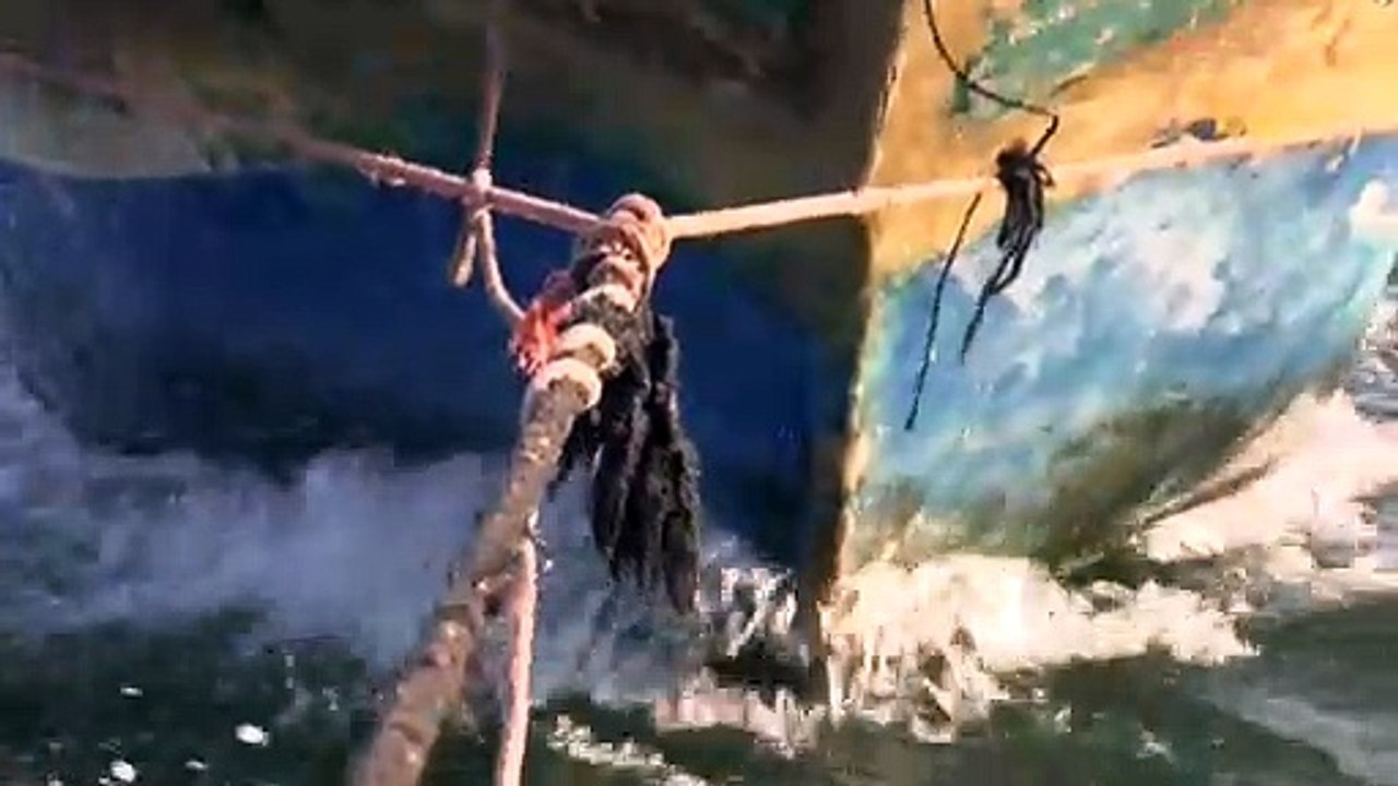 En mer, la nuit, avec les pêcheurs de Gaza sous blocus