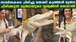 Trending video of baby alligator with smiling face | Oneindia Malayalam