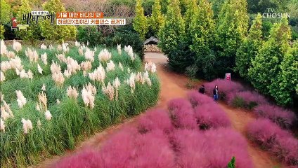 에어로빅과 근력 운동을 결합 최여진의 줌바 댄스 교실 TV CHOSUN 20211105 방송