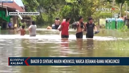 Masuk Hari Ke-15, Banjir Sintang Meninggi dan Meluas