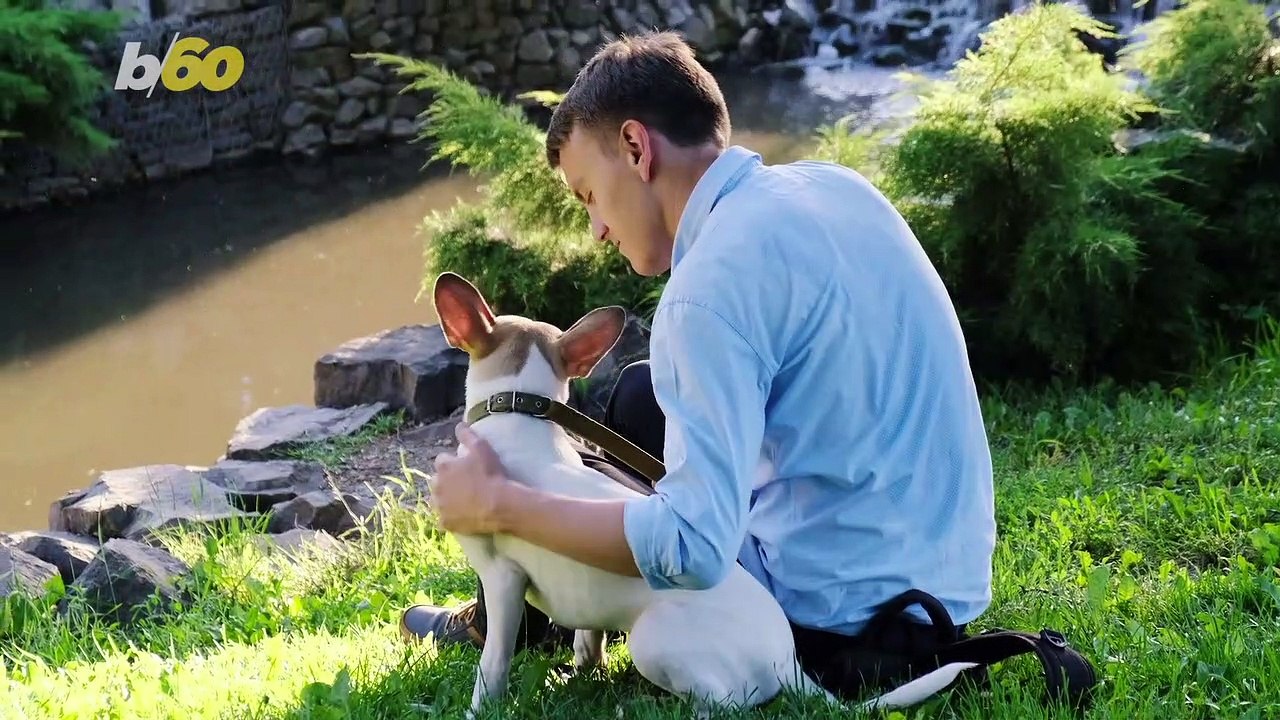 This Is How Dogs Can Change Your Brain!