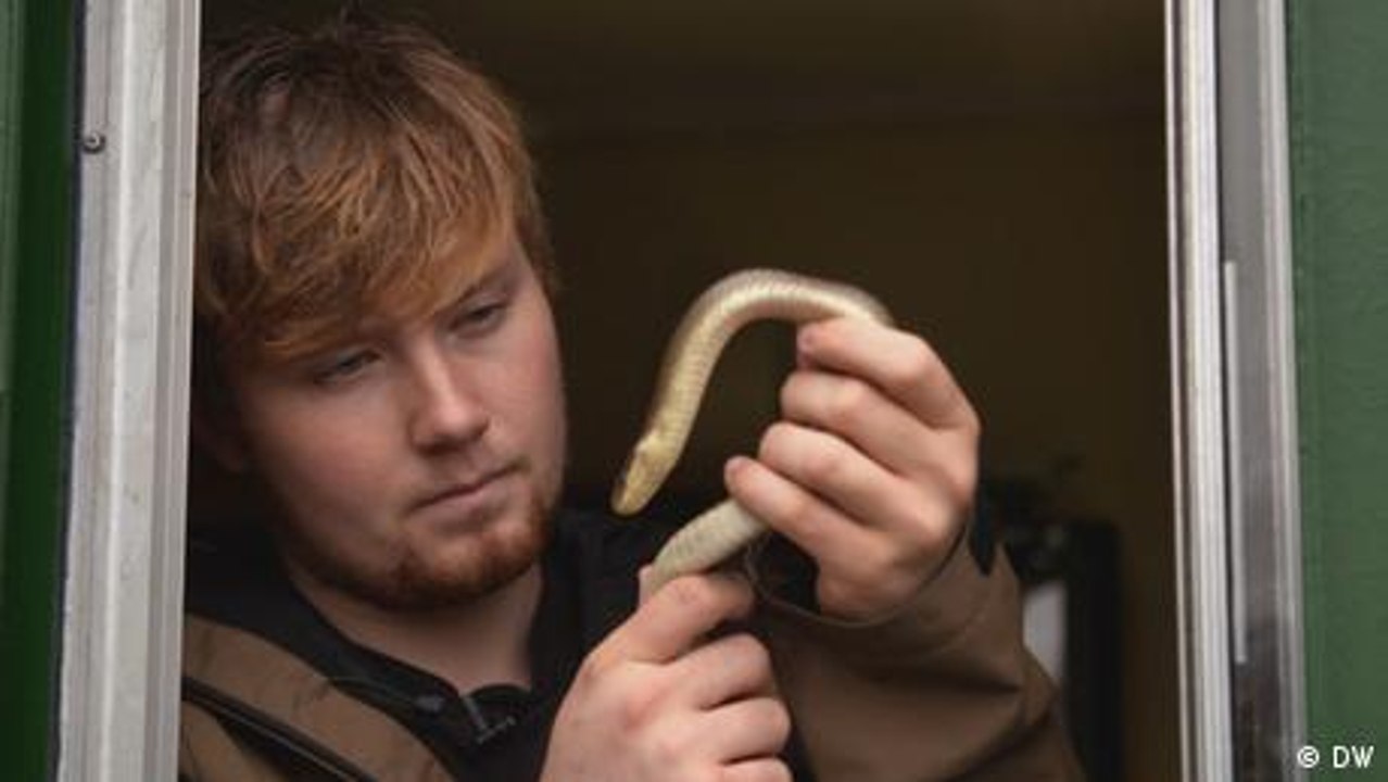 Teenager als Tierretter