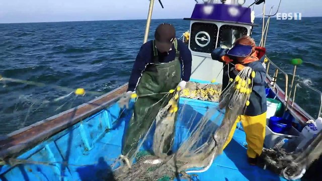 한국기행 - Korea travel_가을, 보물찾기 5부- 그래도 좋아_#001