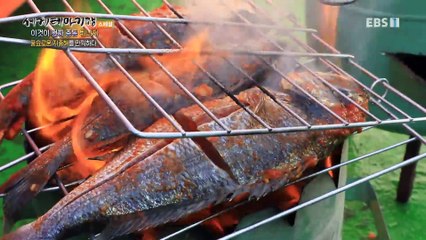 세계테마기행 - 이것이 진짜 중동- 꿈의 바다로, 튀니지_#003