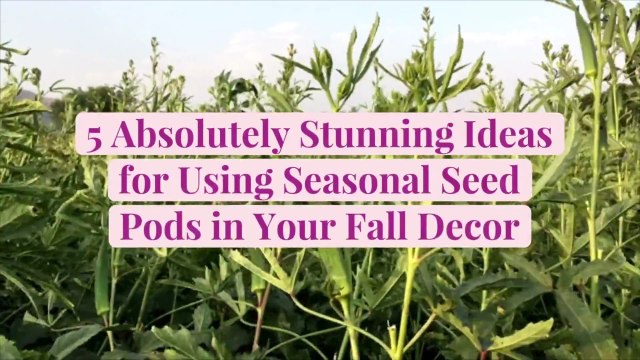 5 Absolutely Stunning Ideas for Using Seasonal Seed Pods in Your Fall Decor