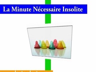 La Minute Nécessaire Insolite Fevrier 2