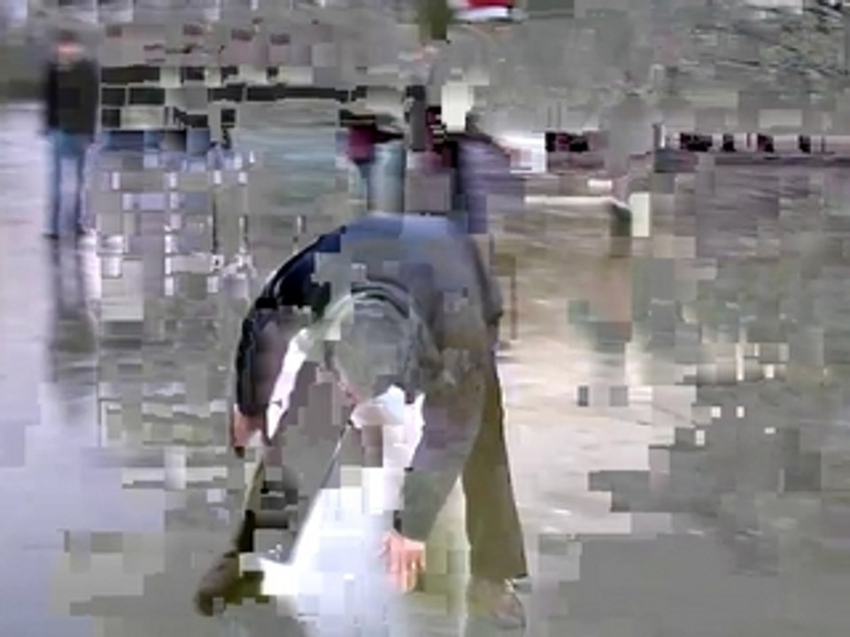 quand les vieux s'y mettent