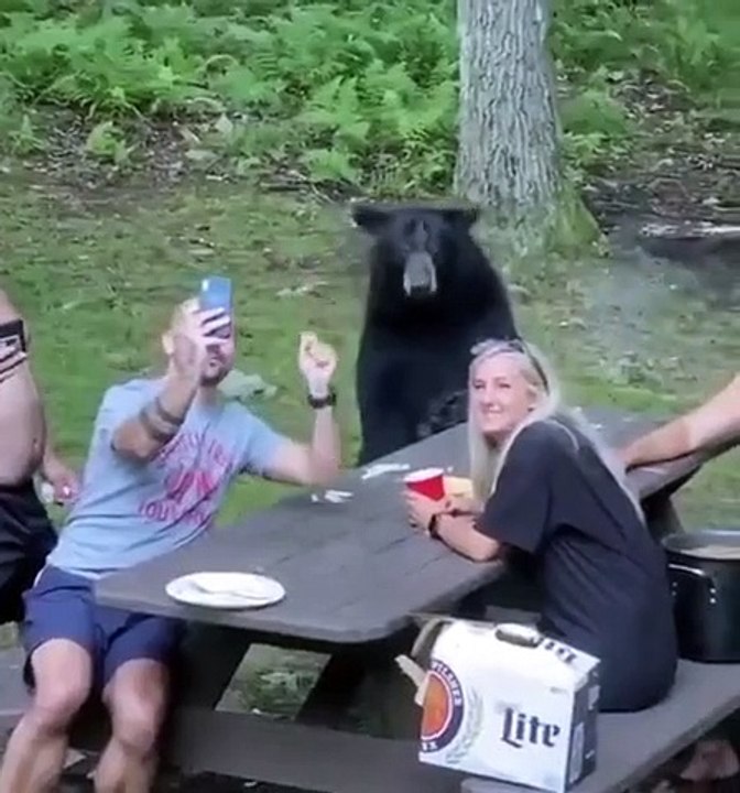 Un ours fait un pique-nique avec une famille !