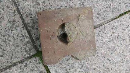 건물에서 떨어진 벽돌에 행인 부상..."누군가 던졌다" / YTN