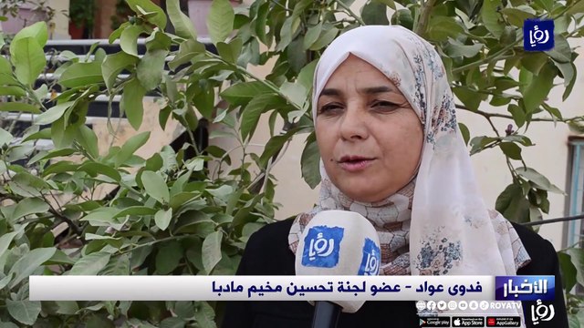 الكلاب الضالة .. خطر يعيشه المواطنون كل يوم