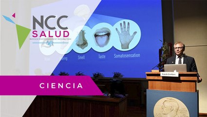 Nobel de Medicina por descubrir sensores que permiten sentir dolor