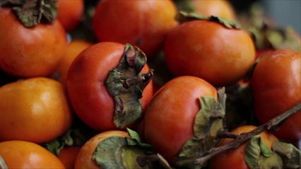 Is There a Prettier Fruit Tree Than a Persimmon?
