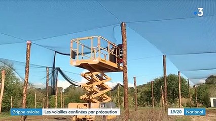 Grippe aviaire : l'inquiétude des éleveurs français