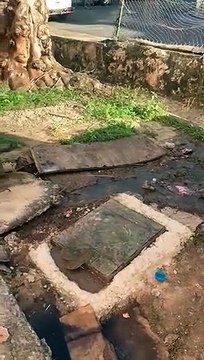 Residentes en Quinto Centenario piden eliminar agua cloacal