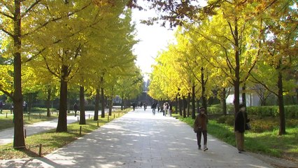 [날씨] 주말, 수도권·충남 공기 일시 탁해...한낮 온화해요! / YTN