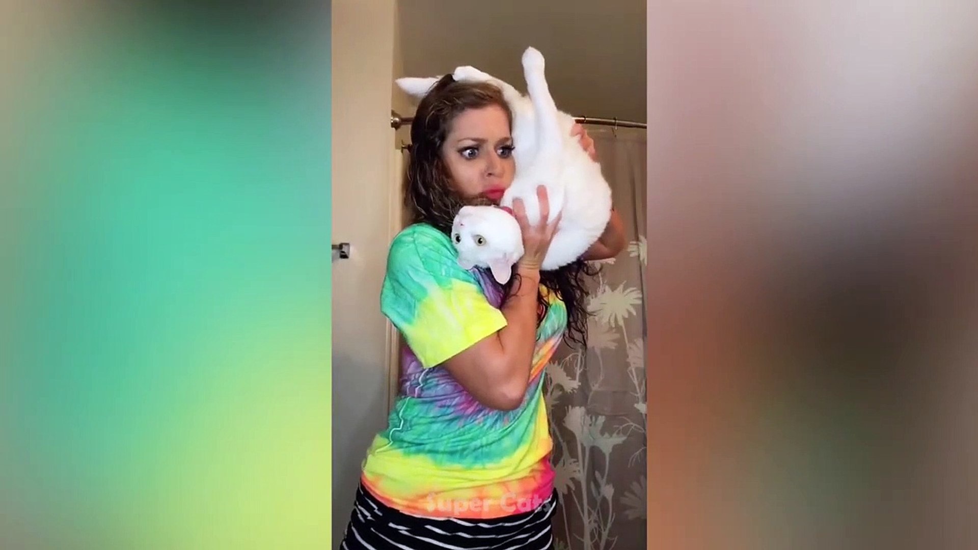 ⁣Funny Cat Reaction To Cutting Cake Videos | Meow Cats