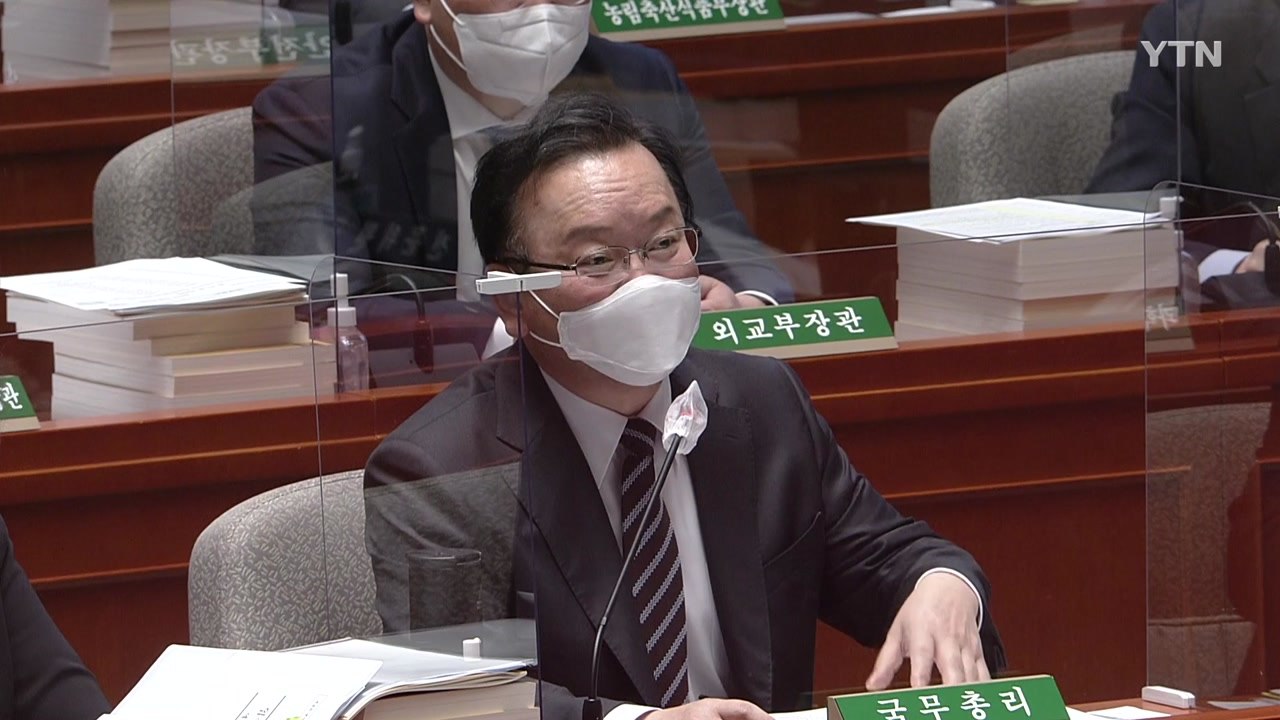 김부겸 총리 "요소수, 수입 다변화 추진...환경부 조치도 검토" / YTN
