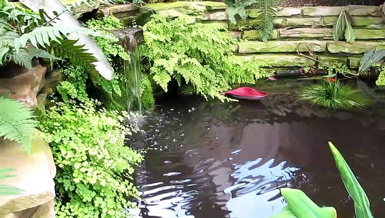 Hidden Lake Gardens Pond Tipton Michigan