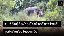 เซ่นชีวิตผู้สื่อข่าว ช้างป่าคลั่งทำร้ายดับ ลุยทำข่าวช่วยช้างบาดเจ็บ | ชนคลิปข่าว 06/11/64 เดลินิวส์