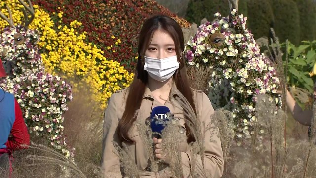 [날씨] 맑고 포근한 주말...함평은 국화 세상 / YTN