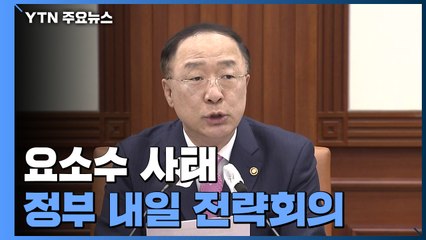 정부, 대외경제안보전략회의 열고 반도체 정보 제공·요소수 논의 / YTN
