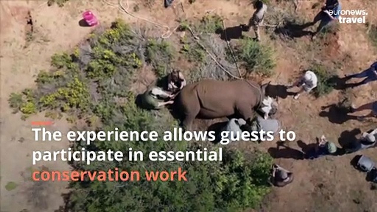 Get up close and personal with rhinos at this S...