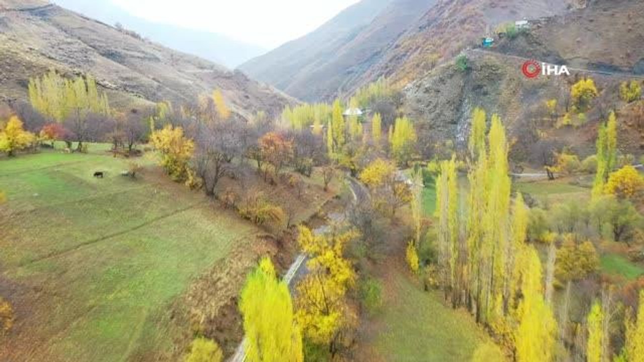 Bahçesaray'da 3 mahalle yolu yenilendi