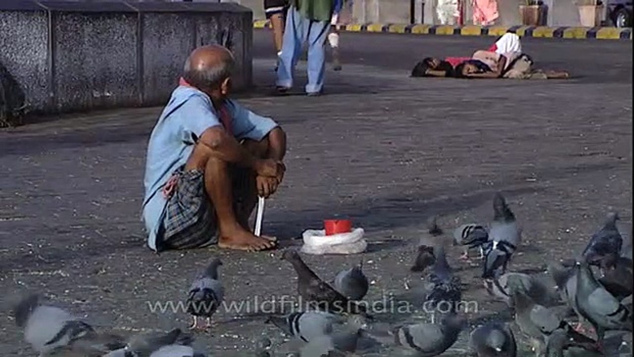 Taj Mahal Hotel _ one of Mumbai's best known hotels