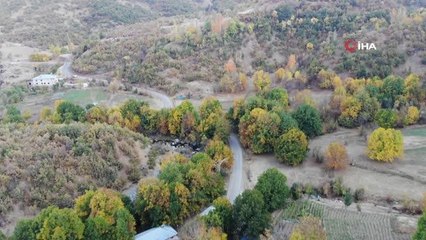 Yüksekova'da sonbahar güzelliği