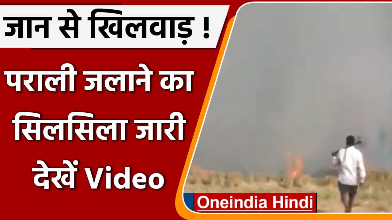 Punjab: Ludhiana में किसानों ने जलाई पराली, Delhi में बढ़ा Air Pollution| #Shorts| वनइंडिया हिंदी