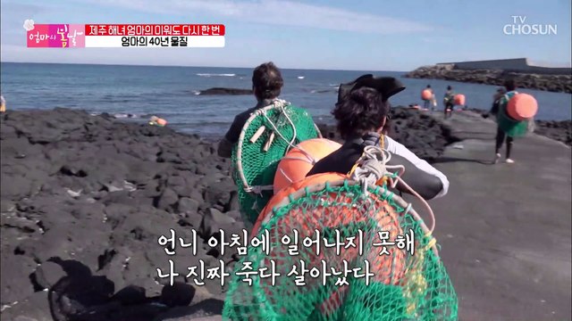 40년 해녀 경력 바다를 헤쳐 가는 엄마↗ TV CHOSUN 20211106 방송
