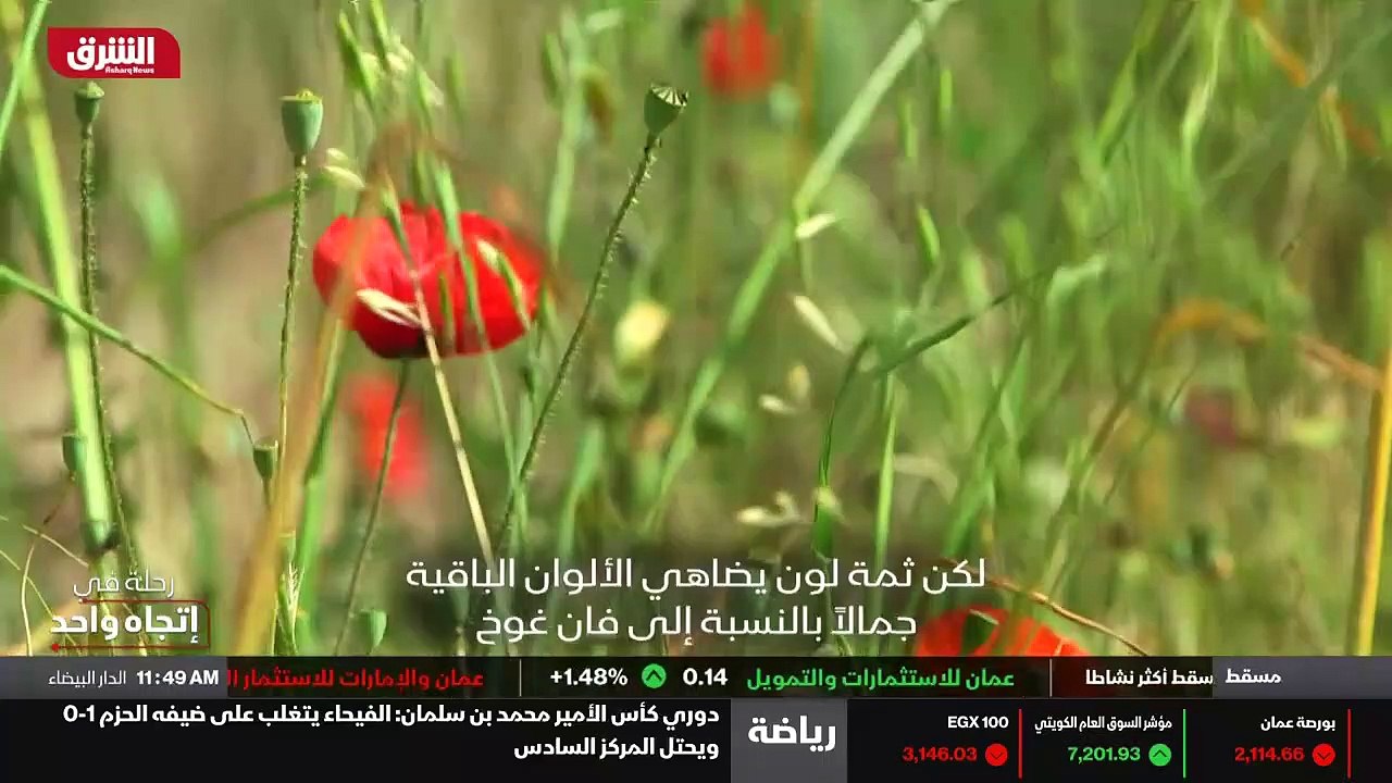 العلوم العالمية