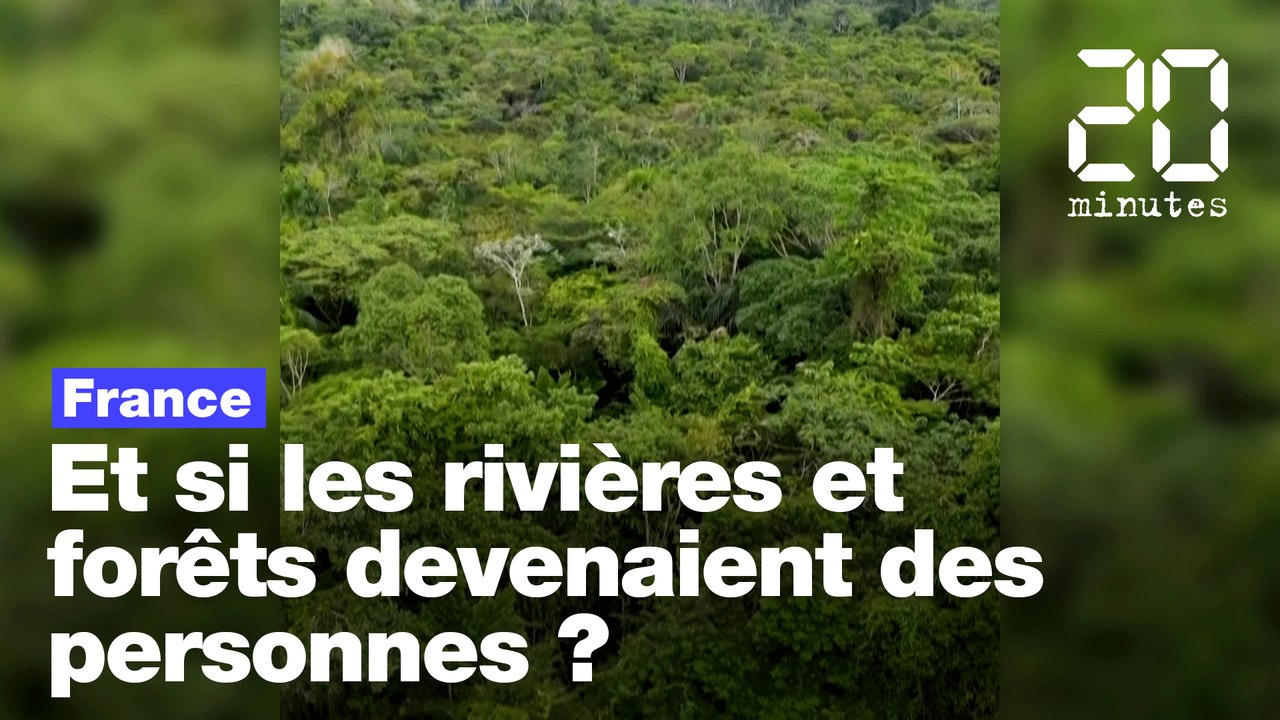 Droit de la nature : Et si les rivières, les montagnes et les forêts devenaient des personnes ?