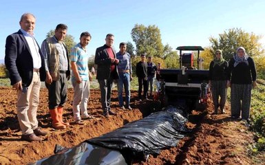 Alaşehir'de çilek üreticilerini sevindiren hizmet: Bir günlük işi iki saatte yapıyor
