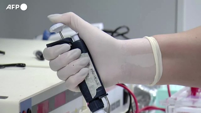 Aifa si attiva per pillola anticovid anche in Italia